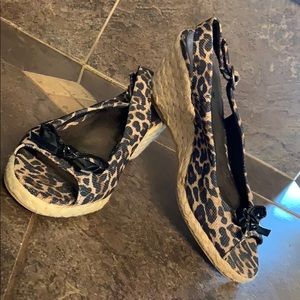 Cheetah wedges